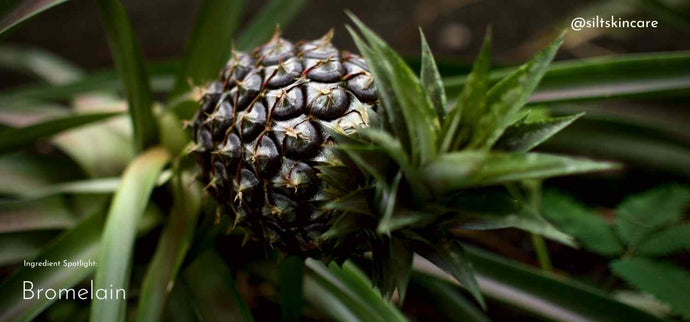 Bromelain, The Renewing Skincare Ingredient You Need In Your Routine